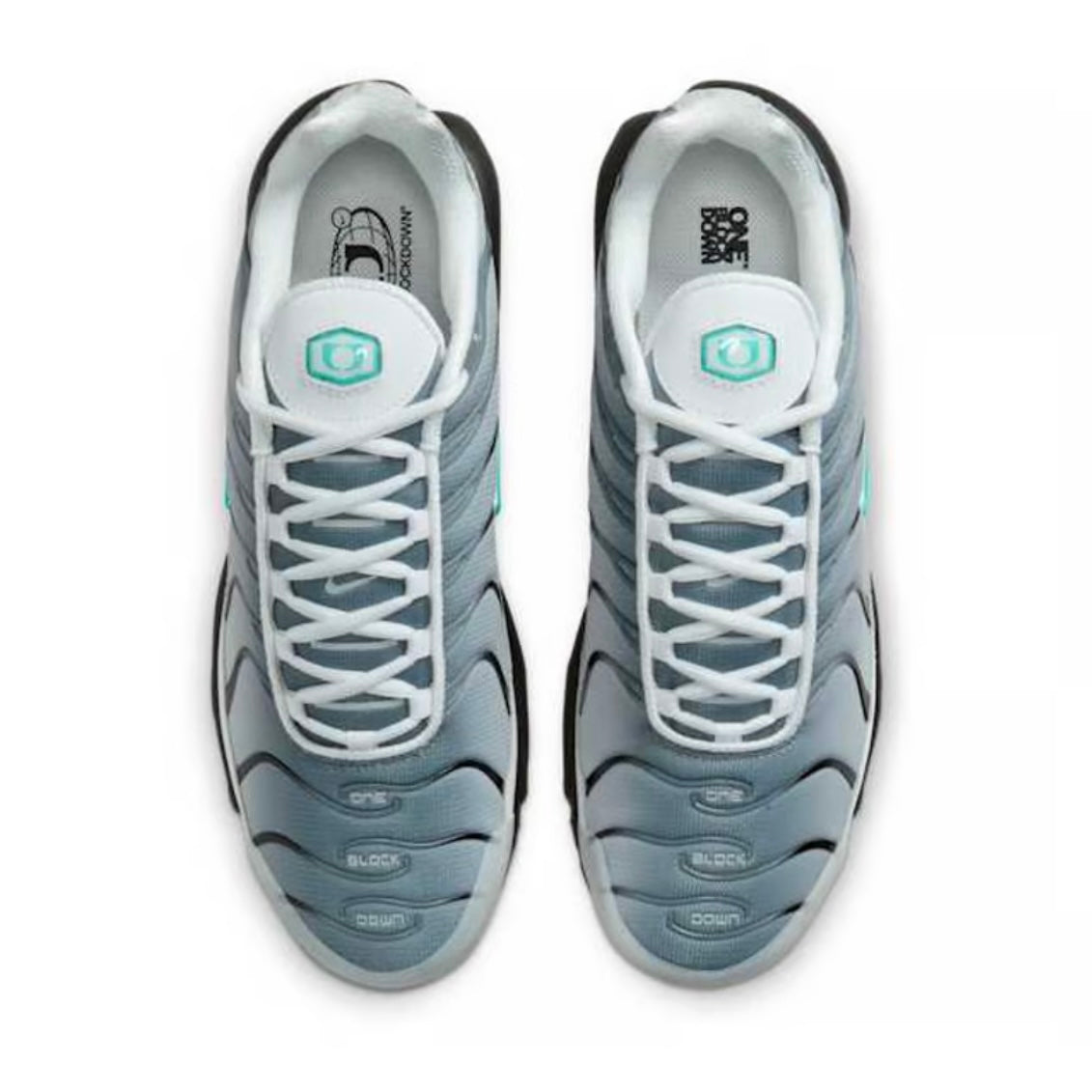 Nike Air Max Plus X One Block Down